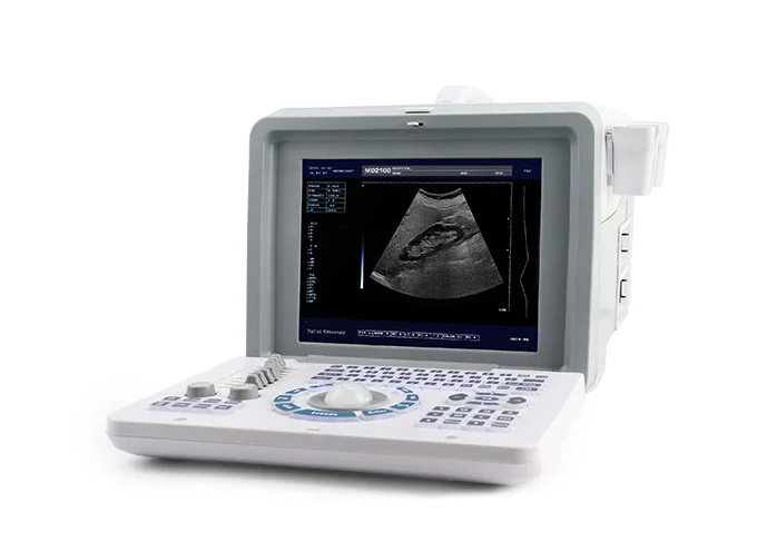Dolphi® pro