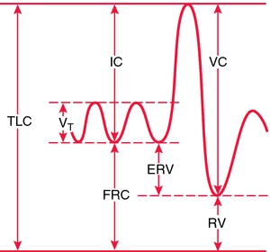 Subdivisions of total lung capacity: TLC, total lung capacity; V, tidal volume; IC, inspiratory capacity; FRC, functional residual capacity; ERV, expiratory reserve volume; VC, vital capacity; RV, residual volume. Subdivisions of total lung capacity: TLC, total lung capacity; V, tidal volume; IC, inspiratory capacity; FRC, functional residual capacity; ERV, expiratory reserve volume; VC, vital capacity; RV, residual volume.